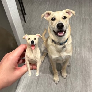Gepersonaliseerde aangepaste hond bruidstaart topper, huisdier CakeTopper, huisdieren verjaardag, kat caketopper, verjaardag huisdier, hond beeldjes