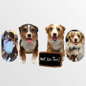Gepersonaliseerde aangepaste huisdier bruidstaart topper, hondentaart topper, bruidstaart topper, huisdier verjaardag, bruidstaart topper beeldje met hond
