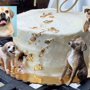 Personalized custom pets Pets wedding cake topper, Dog cake topper, Wedding   cake topper , Pets birthday ,wedding cake topper with dog