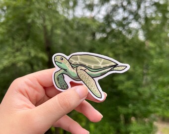 Adorable Sea Turtle Sticker | Sea Turtle Stickers | Waterproof, Vinyl and Dishwasher Safe | Laptop, Water bottle, Hydro Flask, Tumbler Decal