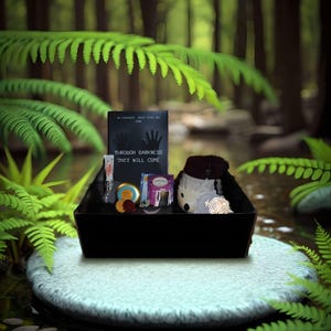 以下が含まれることがあります： 黒いギフトボックスには、「Through Darkness They Will Come」というタイトルの本、小さなぬいぐるみ、その他の小さなアイテムが入っています。ボックスは薄い青色の石の上に置かれています。
