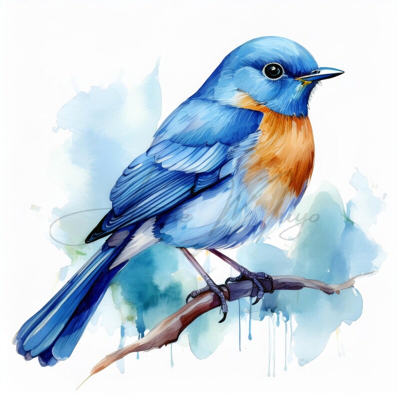 Robin Blue Vector 10 Watercolor Blue Robin, Digital Clipart Bundle , Printable Art, Jpg ...