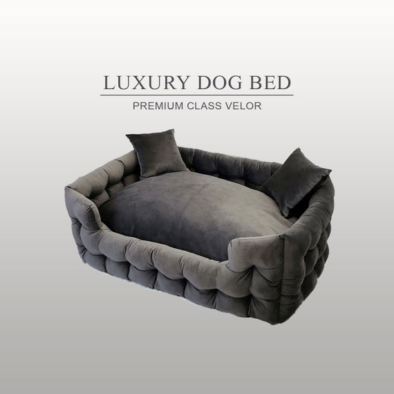 Luxury Modern Dog Beds