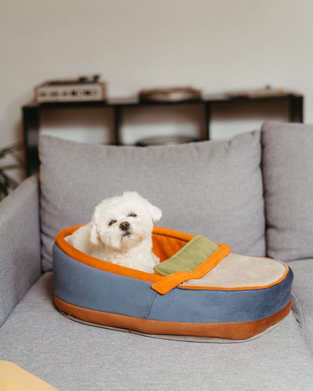 Shoe Dog Bed Sneaker Luxury Dog Bed Moccasin Shoe Pet Bed Etsy