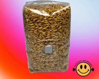 Pre-Sterilised Grains (Whole Oats) Grain Spawn | Ready to Use - with Injection Port and Air Filter Vent | 1kg