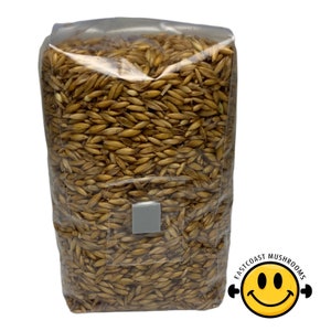 May include: A clear plastic bag filled with brown oat grain. The bag has a small grey label on the front. The bag is sealed and ready to be used for growing mushrooms.