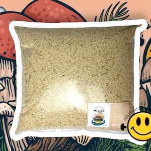 May include: A clear plastic bag filled with millet bird seed. The bag has a label that says "Millet" and features a cartoon bird. The bag is sitting on a green and brown background with cartoon mushrooms.