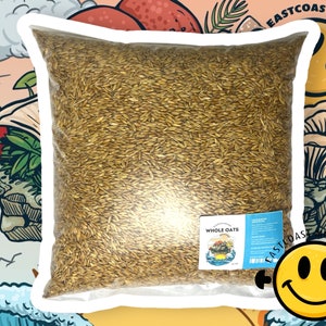 May include: A transparent bag filled with whole oats. The bag has a label that reads "WHOLE OATS" with a mushroom graphic. The background features a colourful illustration with the text "EASTCOAST MUSHROOMS" and a smiley face.