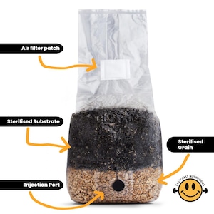 May include: A clear plastic bag with a white air filter patch, a black injection port, and two layers of grain. The top layer is a black sterilised substrate, and the bottom layer is a light brown sterilised grain. The bag is labelled "East Coast Mushrooms" with a smiley face logo.