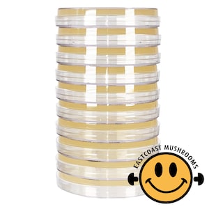 Natural Agar Plates 10 Pack | Mycology Mushroom Growing Cloning