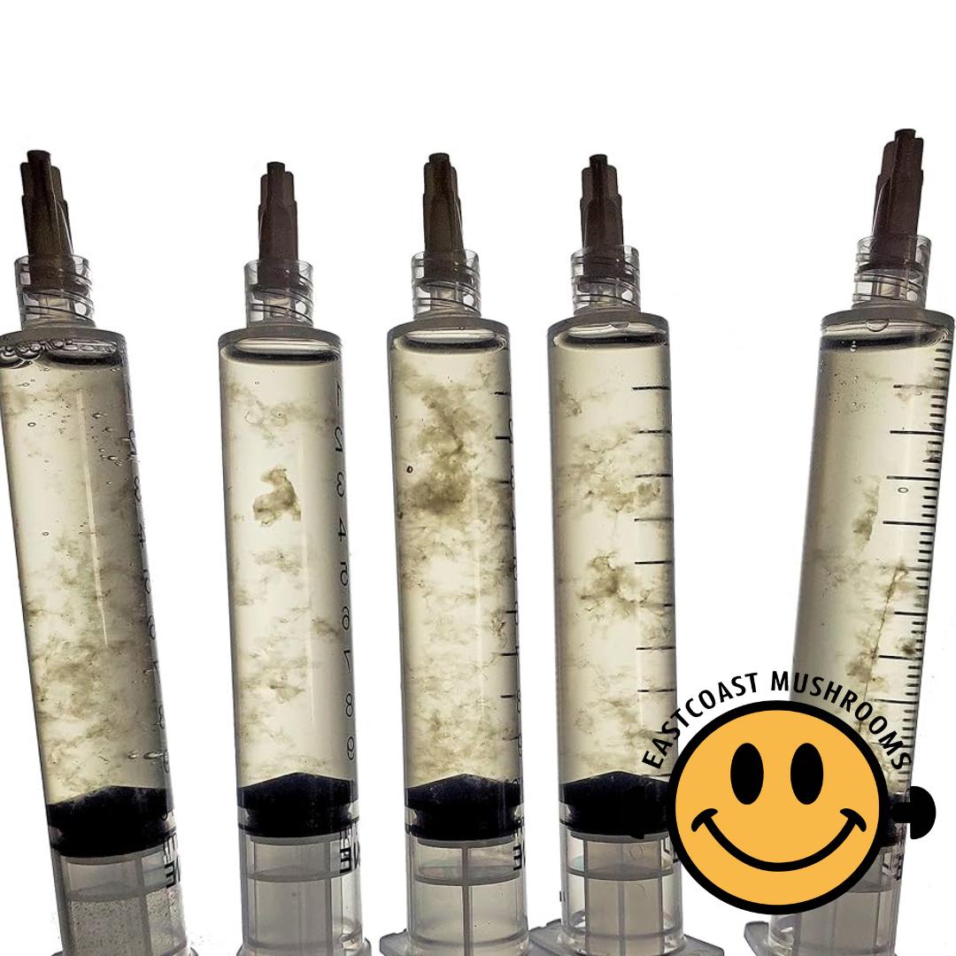 Mushroom Liquid Culture | 10ml Gourmet and Functional | Grow Mushrooms at Home | Premium Quality & Genetics