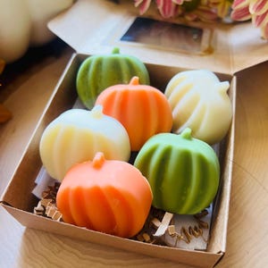 Pumpkin Spice Wax Melts 100% sojawas met pompoenkleur en -vorm｜Cadeau-idee｜Herfstgeuren