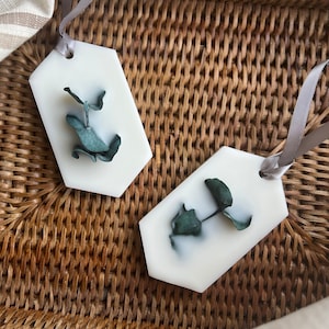 Scented Bar, Aroma Wax Bar Sachet, Eucalyptus & Mint, Botanical Air Freshner