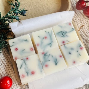 Christmas wax melts ｜100% soy wax with Fraser Fir scent｜Greenery & Red Berry｜holiday gift idea