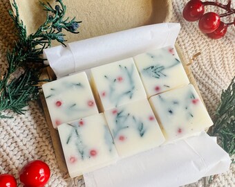 Christmas wax melts ｜100% soy wax with Fraser Fir scent｜Greenery & Red Berry｜holiday gift idea