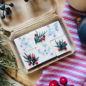 Fraser Fir wax melts with green and red berry ｜botanical wax tart ｜100% soy wax｜Plastic free ｜Eco Friendly Packaging｜gift idea