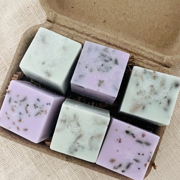 Wax melts White sage & Lavender｜botanical wax tart ｜100% soy wax｜Plastic free ｜Eco Friendly, Biodegradable Packaging ｜Holiday gift idea