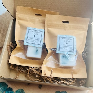 May include: A cardboard box contains two small kraft paper bags with Eucalyptus & Mint soy wax melts. Each bag has a label with product details. The box is filled with brown crinkle paper and rests on a wooden surface with eucalyptus leaves.