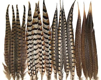 16" - 18" Pheasant Tail Feather Mix - per 16 feathers
