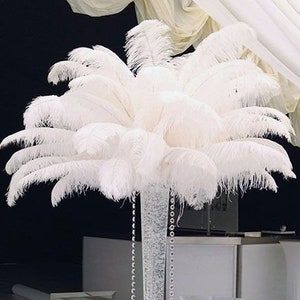 18-24” PRIME #1 QUALITY Ostrich WING Plume Feathers - per 5 feathers