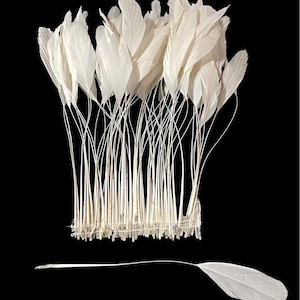May include: A bunch of white feathers with a single white feather lying separately on a black background.