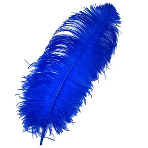 18-24” PRIME #1 QUALITY Ostrich WING Plume Feathers - per 5 feathers Royal Blue
