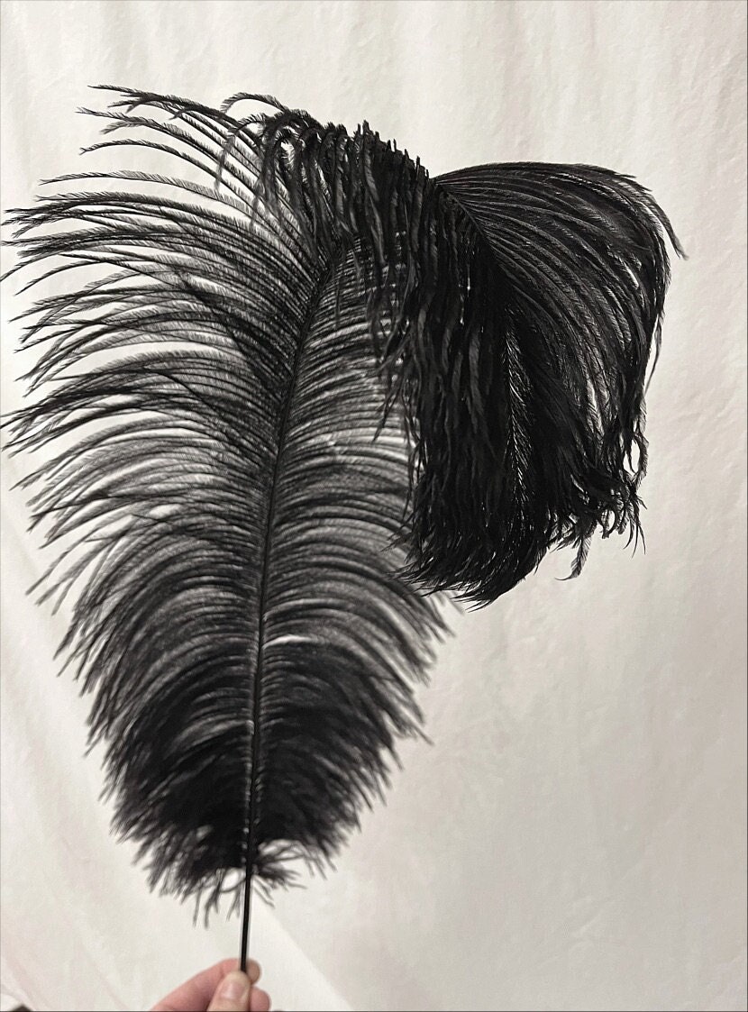 Topshopicks Pack of 24 Natural Black Ostrich Feathers Bulk 10-12 Inches  with 24 Sticks of 10 Inch and Tape for DIY Decorations, Wedding Party