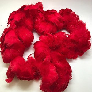 2.5-4” Goose Coquille Feathers for Hawaiian Feather Leis  - 36&quot; Strand - Various Colors