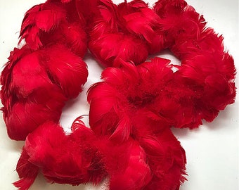 Goose Coquille Feathers 2.5-4” for Hawaiian Feather Leis  - 36" Strand - Various Colors