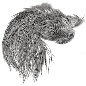 Könnte beinhalten: Eine Ansammlung grau-weiß gesprenkelter Federn, wahrscheinlich für Bastelarbeiten oder Dekorationszwecke. Die Federn haben ein natürliches, strukturiertes Aussehen mit einer Mischung aus hellen und dunklen Mustern, die eine visuell interessante Darstellung erzeugt.