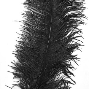 May include: A single black ostrich feather with a long, thin shaft and a plume of soft, fluffy barbs. The feather is isolated against a white background.