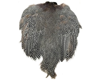 Complete Guinea Fowl Pelt