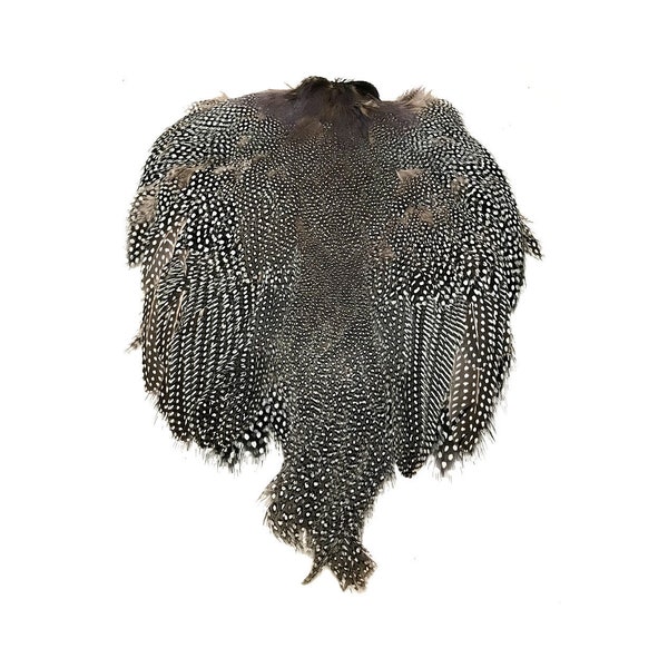 Complete Guinea Fowl Pelt