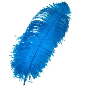 18-24” PRIME #1 QUALITY Ostrich WING Plume Feathers - per 5 feathers Dyed Turquoise