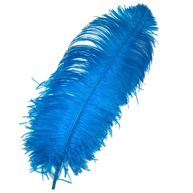 18-24” PRIME #1 QUALITY Ostrich WING Plume Feathers - per 5 feathers Dyed Turquoise