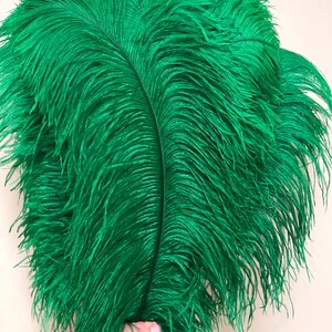 May include: A bunch of bright green ostrich feathers. The feathers are soft and fluffy, and they would be perfect for a craft project or a costume.