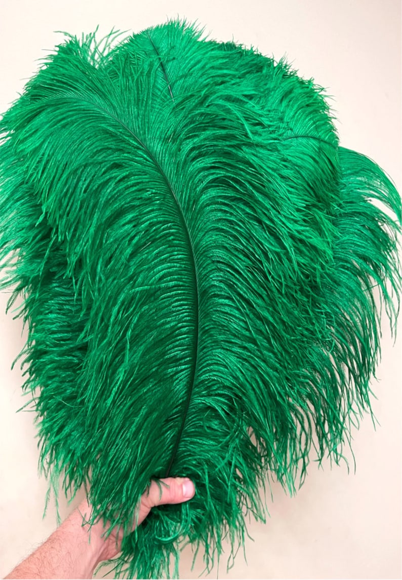 May include: A bunch of bright green ostrich feathers. The feathers are soft and fluffy, and they would be perfect for a craft project or a costume.