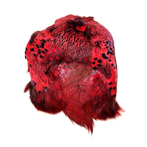 Ringneck Pheasant Pelts - Dyed Colors