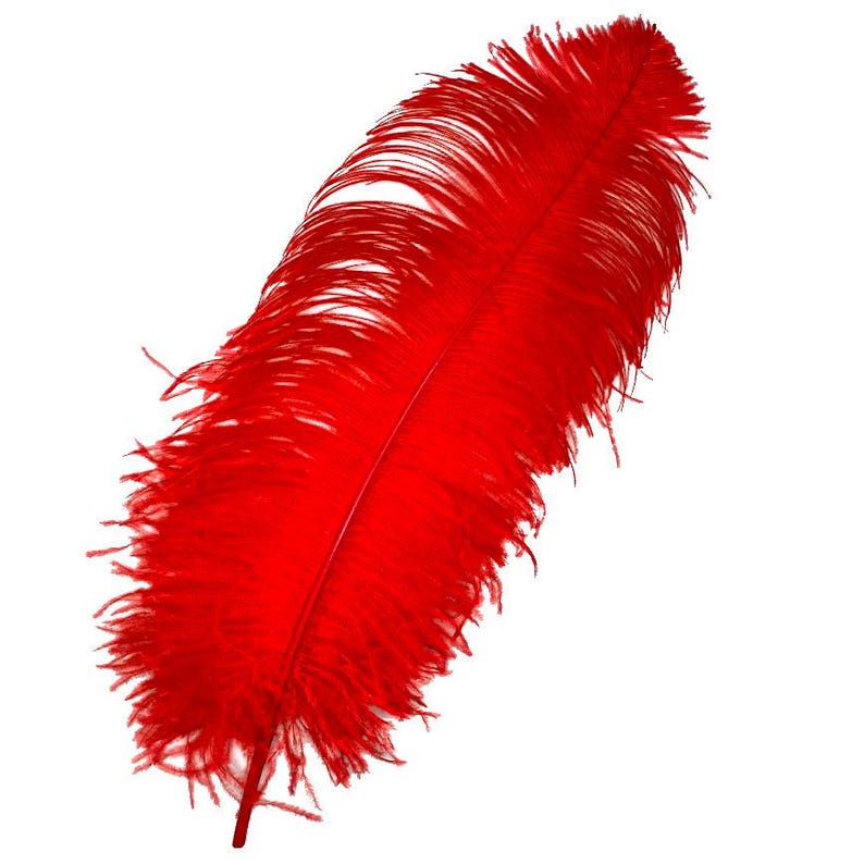 18-24” PRIME #1 QUALITY Ostrich WING Plume Feathers - per 5 feathers Dyed Red