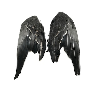 Complete Grey Goose Wings - per pair