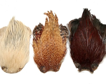 Può includere: Tre piume di coda di fagiano per legare mosche. Le piume sono bianche, marroni e marrone rossiccio.