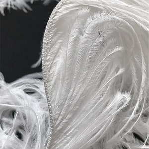 2 Ply Ostrich Feather Fringe - Superior Quality in 2 yard lengths.