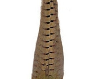 Complete Ringneck Pheasant Tail Clump #1 Quality per Tail
