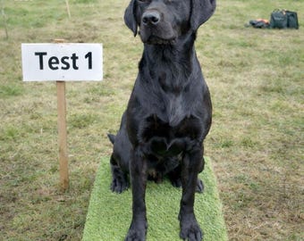 Handcrafted Dog Training Place Board: Gundogs, Puppies, Agility, Obedience.