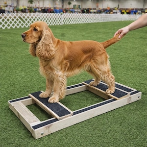 Handcrafted Adjustable Dog Show Stacking Block: Conformation Training Aid