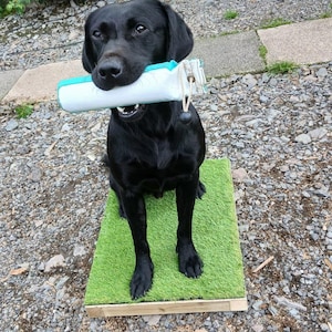 Dog Training Place Board/Platform/Dog Sports/Obedience for Gundogs/Puppies/All Dog Breeds: Handcrafted by Montrev Gundogs. View our Range!