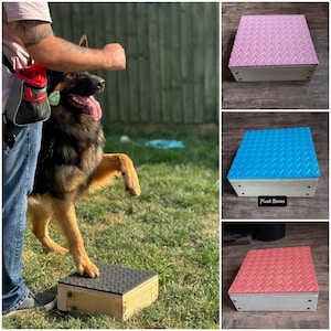 Dog Training Pivot Box/Platform/Dog Sports/Obedience/Agility/IGP. Odpowiednie dla wszystkich ras psów i szczeniąt: Ręcznie wykonane przez Montrev Gundogs!