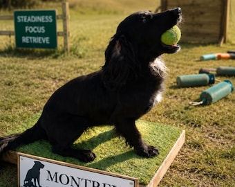 Handcrafted Dog Training Place Board: Gundogs, Puppies, Agility, Obedience.