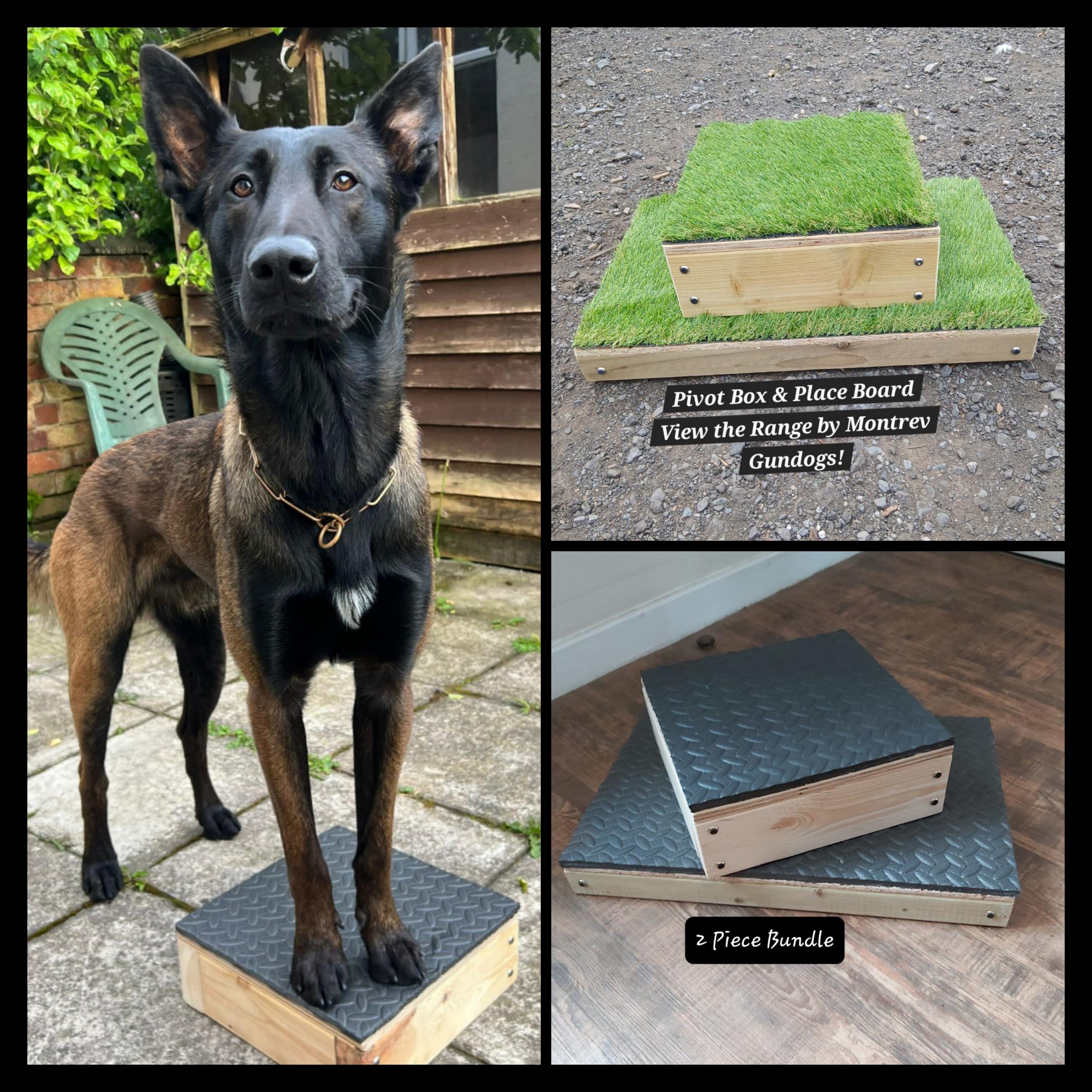 Dog Training Pivot Box and Place Board 2 piece bundle for Dog Agility, Dog Sports, Gundogs, IGP, Obedience, Rally, Freestyle, puppies