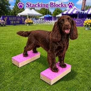 May include: A brown spaniel dog standing on two rectangular stacking blocks. Each block features a light-coloured wooden base and a textured, bright pink top surface with a diamond plate pattern. The text Stacking Blocks is visible above.